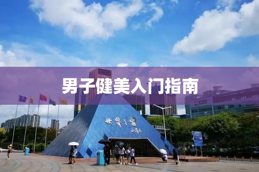 男子健美入门指南