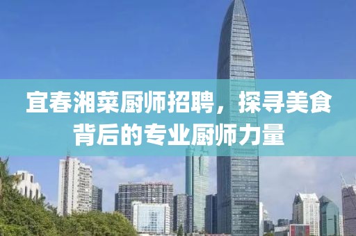 宜春湘菜厨师招聘，探寻美食背后的专业厨师力量