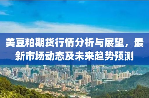 美豆粕期货行情分析与展望，最新市场动态及未来趋势预测