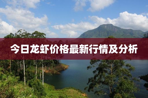 今日龙虾价格最新行情及分析