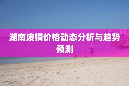 湖南废铜价格动态分析与趋势预测