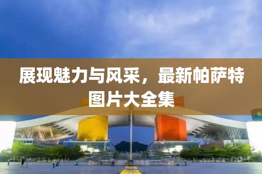 展现魅力与风采，最新帕萨特图片大全集