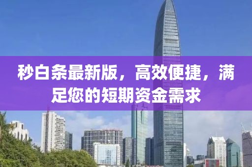 秒白条最新版，高效便捷，满足您的短期资金需求