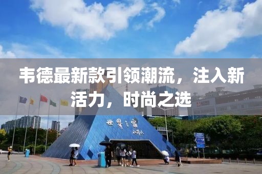韦德最新款引领潮流，注入新活力，时尚之选