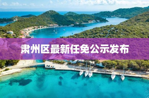 肃州区最新任免公示发布