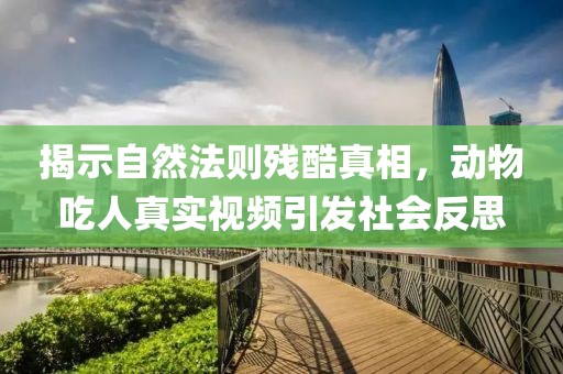 揭示自然法则残酷真相，动物吃人真实视频引发社会反思
