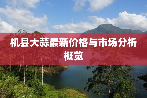 机县大蒜最新价格与市场分析概览