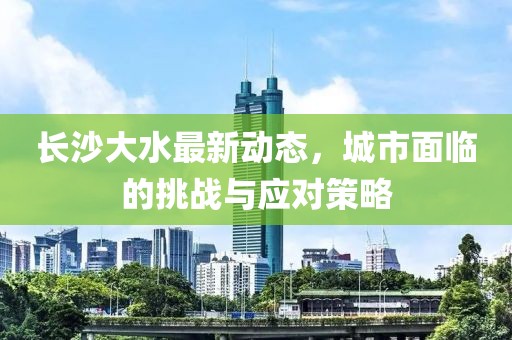 长沙大水最新动态，城市面临的挑战与应对策略