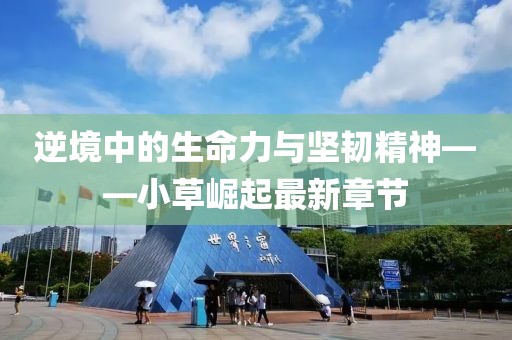 另类 第5页