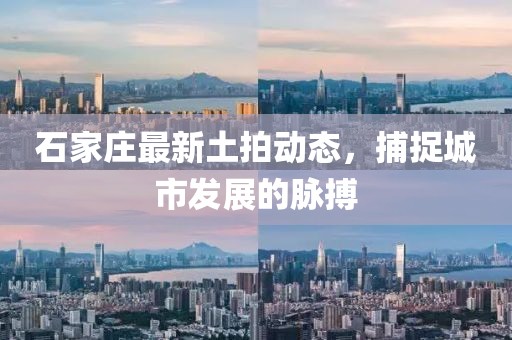 石家庄最新土拍动态，捕捉城市发展的脉搏