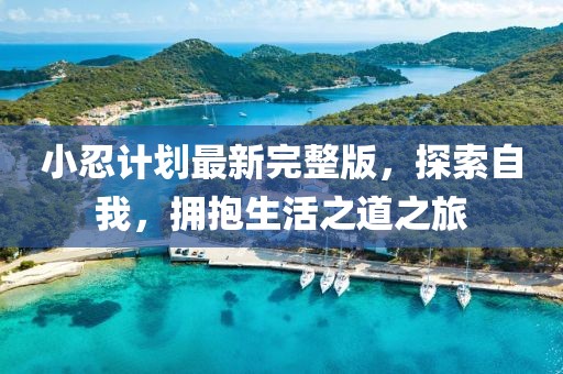 过客 第4页