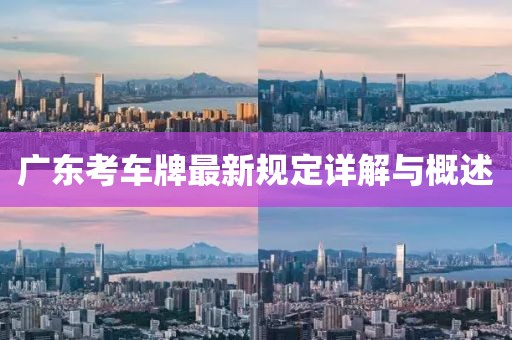 广东考车牌最新规定详解与概述