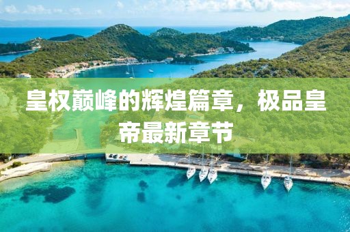 皇权巅峰的辉煌篇章，极品皇帝最新章节