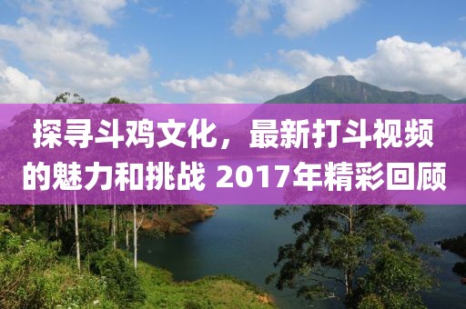 探寻斗鸡文化，最新打斗视频的魅力和挑战 2017年精彩回顾