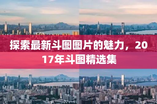 探索最新斗图图片的魅力，2017年斗图精选集
