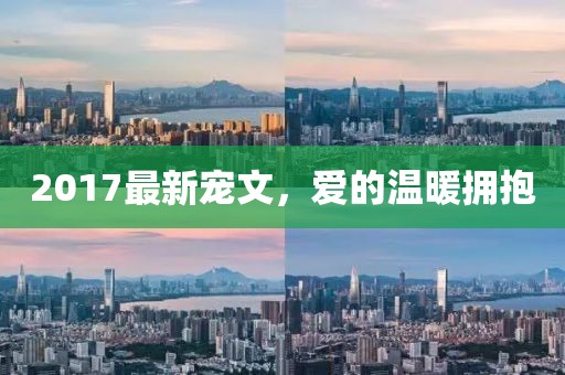 2017最新宠文，爱的温暖拥抱