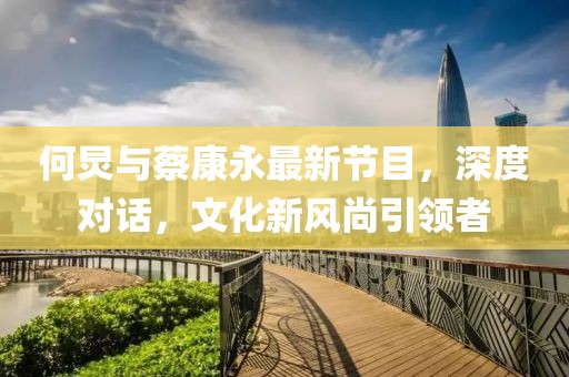 何炅与蔡康永最新节目，深度对话，文化新风尚引领者