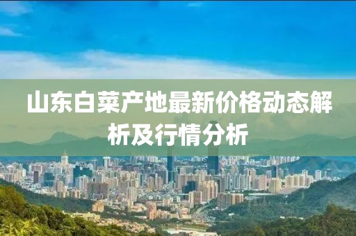 山东白菜产地最新价格动态解析及行情分析