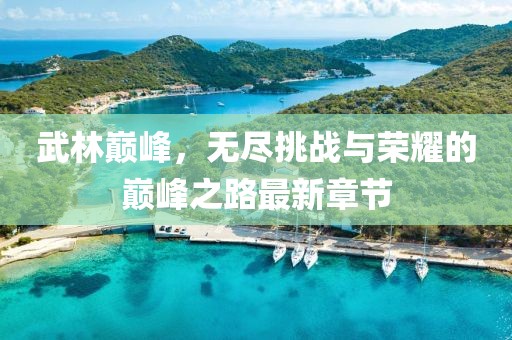 武林巅峰，无尽挑战与荣耀的巅峰之路最新章节