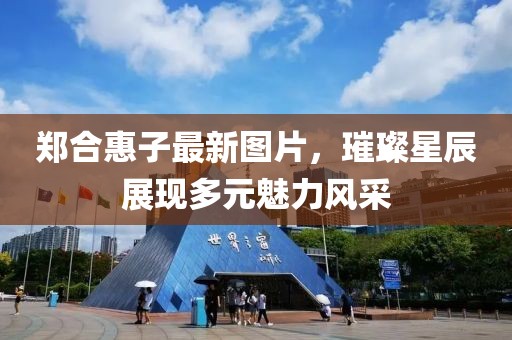 郑合惠子最新图片，璀璨星辰展现多元魅力风采