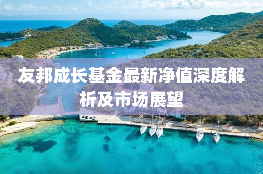 友邦成长基金最新净值深度解析及市场展望