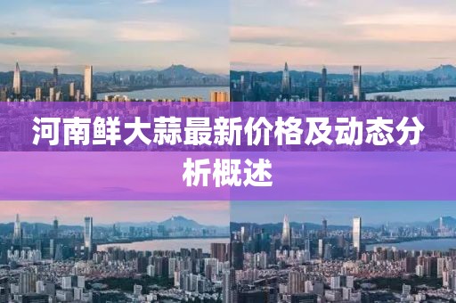 河南鲜大蒜最新价格及动态分析概述