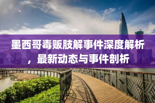 墨西哥毒贩肢解事件深度解析，最新动态与事件剖析