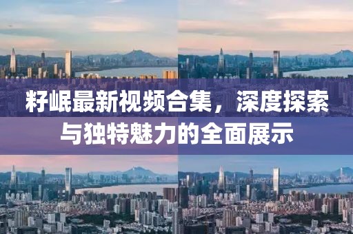 籽岷最新视频合集，深度探索与独特魅力的全面展示