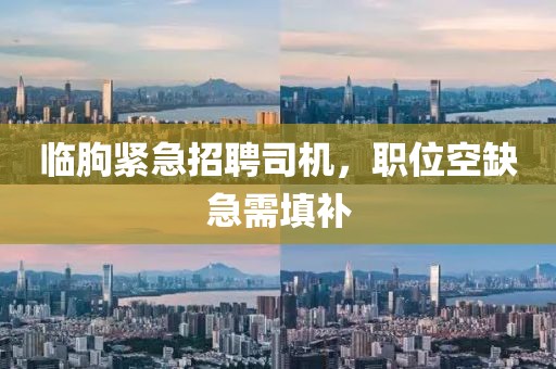 临朐紧急招聘司机，职位空缺急需填补
