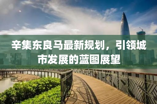 辛集东良马最新规划，引领城市发展的蓝图展望