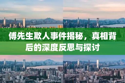 傅先生欺人事件揭秘，真相背后的深度反思与探讨