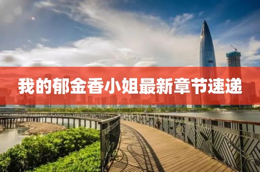 我的郁金香小姐最新章节速递