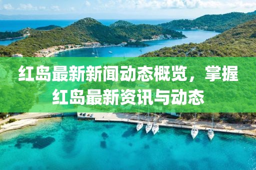 红岛最新新闻动态概览，掌握红岛最新资讯与动态