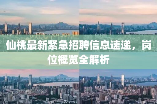仙桃最新紧急招聘信息速递，岗位概览全解析