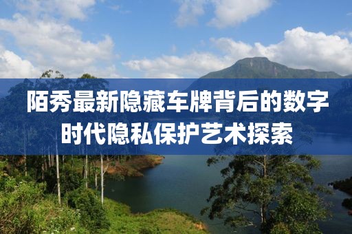 陌秀最新隐藏车牌背后的数字时代隐私保护艺术探索