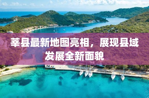 彗新 第4页