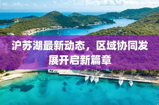 沪苏湖最新动态，区域协同发展开启新篇章