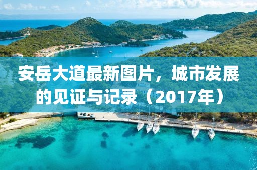 安岳大道最新图片，城市发展的见证与记录（2017年）