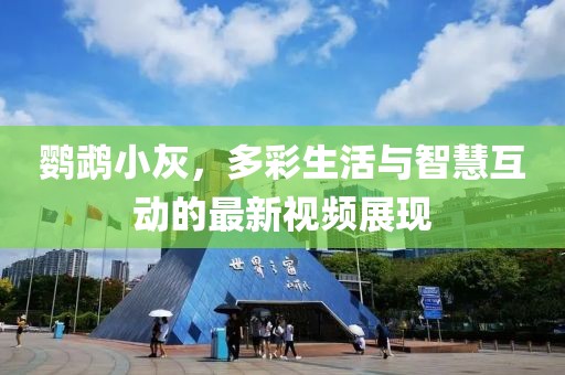 鹦鹉小灰，多彩生活与智慧互动的最新视频展现