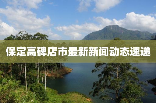 保定高碑店市最新新闻动态速递
