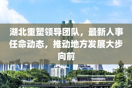 湖北重塑领导团队，最新人事任命动态，推动地方发展大步向前