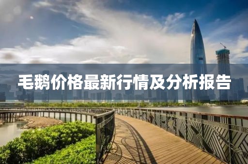 毛鹅价格最新行情及分析报告