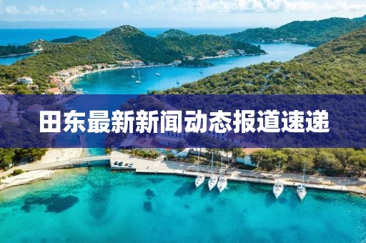田东最新新闻动态报道速递