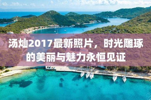 汤灿2017最新照片，时光雕琢的美丽与魅力永恒见证