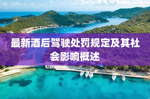 最新酒后驾驶处罚规定及其社会影响概述