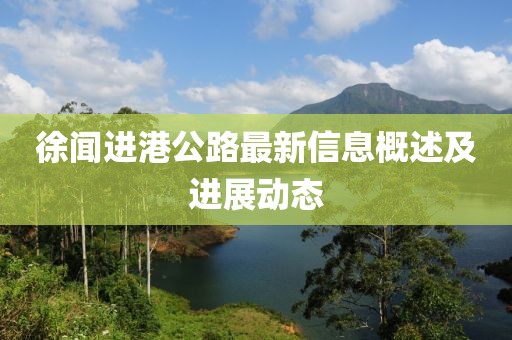 徐闻进港公路最新信息概述及进展动态