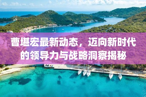 曹堪宏最新动态，迈向新时代的领导力与战略洞察揭秘