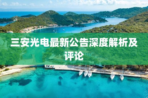 三安光电最新公告深度解析及评论