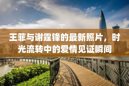 王菲与谢霆锋的最新照片，时光流转中的爱情见证瞬间