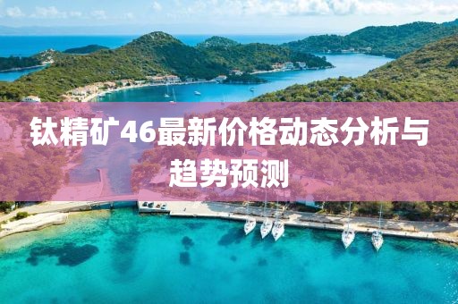 钛精矿46最新价格动态分析与趋势预测